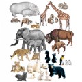 Wild Animals from Different Countries Felt Set