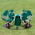 Carringtons Carousel Green and Beige