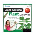 Alternate Image #5 of Giant Magnetic Plant Life Cycle