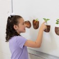 Thumbnail Image #5 of Giant Magnetic Plant Life Cycle