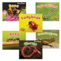 Creepy Critters Rhyme Along Books - Set of 6