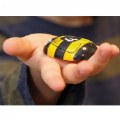 Thumbnail Image #5 of Honey Bee Number Stones - Set of 20