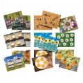 Alternate Image #2 of Honey Bee Stones and Activity Cards
