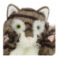 Alternate Image #2 of Plush Tabby Cat Hand Puppet