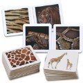 Thumbnail Image of Animal Skin Picture Cards