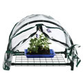 Mini Greenhouse with Cover