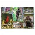 Alternate Image #2 of Wild and North American Animals Floor Puzzles - Set of 2