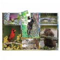 Thumbnail Image #2 of North American Animals Floor Puzzle - 24 Pieces