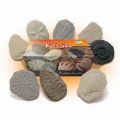 Alternate Image #3 of Play & Explore Fossils - Set of 8