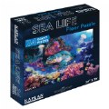 Thumbnail Image #3 of Sea Life Floor Puzzle - 24 Pieces