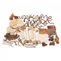 Natural Wooden Loose Parts Kit