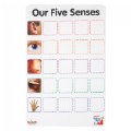 Thumbnail Image #2 of Our Five Senses Interactive Game