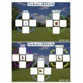 Thumbnail Image #2 of Insect Life Cycle Game - Investigate Bees, Ants, Butterfly and Firefly