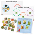 Thumbnail Image of Insect Life Cycle Game - Investigate Bees, Ants, Butterfly and Firefly
