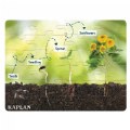 Thumbnail Image of Sunflower Life Cycle Floor Puzzle from Seed to Sunflower - 24 Pieces