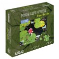 Alternate Image #3 of Frog Life Cycle Floor Puzzle from Egg to Frog - 24 Pieces