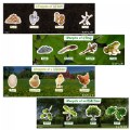 Life Cycle Puzzles - Set of 4