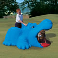 Harry the Hippo Climber - In-Ground Mount