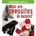 What Are Opposites In Nature? - Paperback