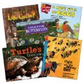 Nature's Life Cycle Early STEM Concept Theme Books - Set of 5
