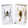 Alternate Image #3 of Scorpion and Spider Set - Set of 4