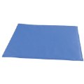 Soft Blue Floor Mat