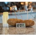 Alternate Image #4 of 4M Green Science Digital Potato Clock