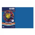 Thumbnail Image of 12" x 18" Tru-Ray® Construction Paper (Case Pack) - Blue