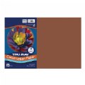 Thumbnail Image of 12" x 18" Tru-Ray® Construction Paper (Case Pack) - Brown