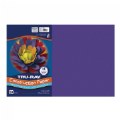 Thumbnail Image of 12" x 18" Tru-Ray® Construction Paper (Case Pack) - Purple