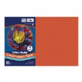 Thumbnail Image of 12" x 18" Tru-Ray® Construction Paper (Case Pack) - Orange