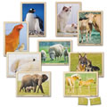 Mother and Baby Animals From Around the World Puzzles - Set of 9