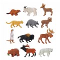 North American Wildlife Minis - Set of 12