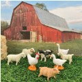 Thumbnail Image #2 of Farm Animal Minis - Set of 12