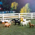 Thumbnail Image #3 of Farm Animal Minis - Set of 12