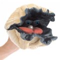 Alternate Image #3 of Giant Clam Hand Puppet