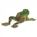Alternate Image #2 of Jumping Frog Hand Puppet