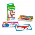 Dinosaur Mighty Match Challenge Cards®