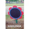 Chalkboard Flowers - Sun