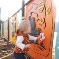 Bear Acitivity Fence Mount