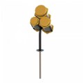 Primary Thumbnail of Honeycomb Congas