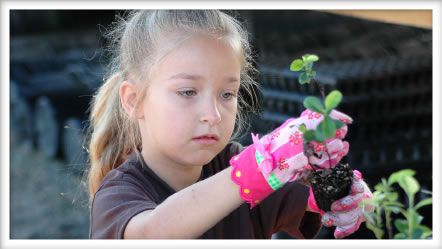 Adding Rigor to Gardening Projects | Kaplan Early Learning Company