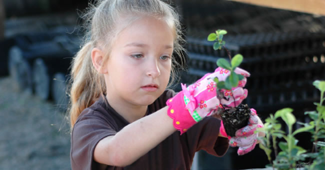 Adding Rigor to Gardening Projects