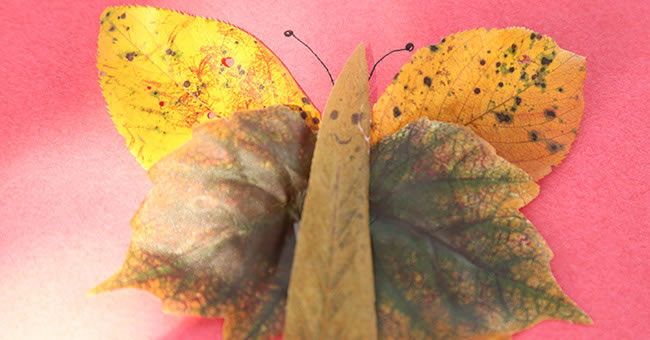 Autumn Leaf Animal Collages
