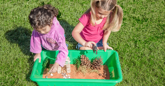 Developing and Implementing an Outdoor Classroom