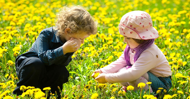 Exploring Science with Spring-Themed Lesson Plans