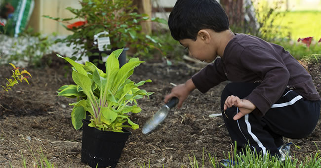 Incorporating Gardening in Lesson Plans