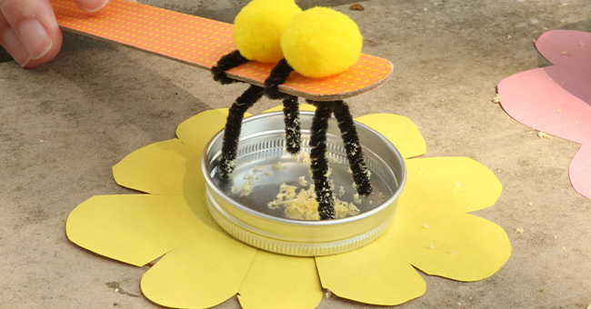 Bee Pollination Steam Activity Kaplan Early Learning Company