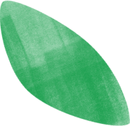 Design Element - Green Leaf