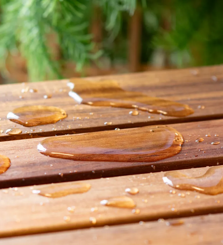 Water drops beading on wood